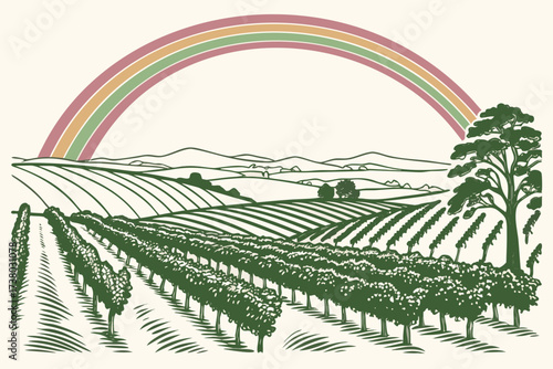 Vineyard landscape with rainbow and tree art wine grapes