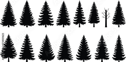 PrintPine tree silhouette, evergreen forest, fir tree, nature symbol, conifer trees, woodland design, black silhouette, winter tree, Christmas pine