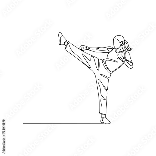 Karate Kick Silhouette - Dynamic Action and Focus.