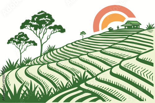 Green rice terraces with colorful sunset and house