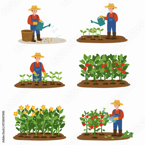 A cheerful farmer illustrates the complete gardening and plant growth cycle, from sowing seeds and nurturing seedlings to harvesting ripe produce, on a white background.