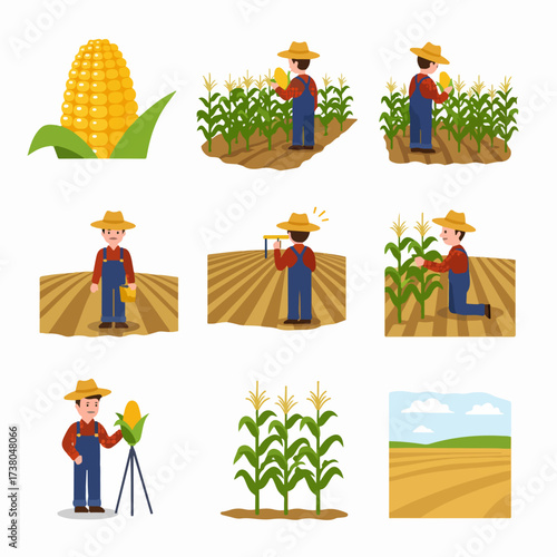 A collection of illustrations showcasing the corn farming process, featuring a diligent farmer engaged in planting, cultivating, and harvesting activities in agricultural fields.