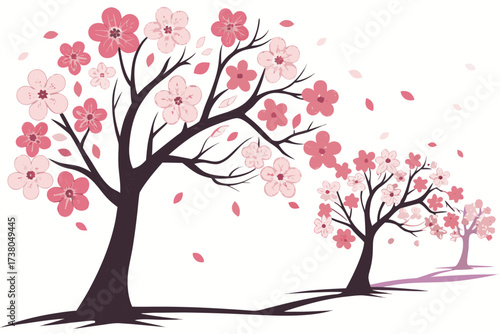 Pink cherry blossom trees with falling petals sakura