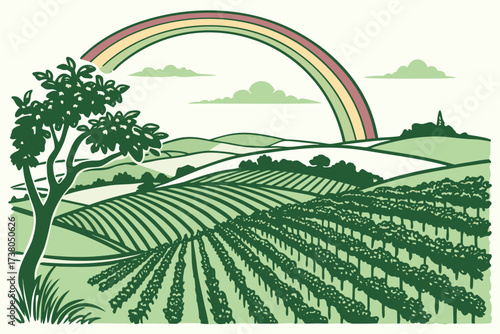 Rolling green vineyard hills with rainbow and tree
