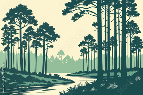 Ocala National Forest in Florida, pine forests with springs and clear freshwater lakes