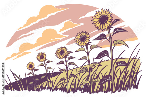 Sunflowers in a field under a pastel sky nature clouds