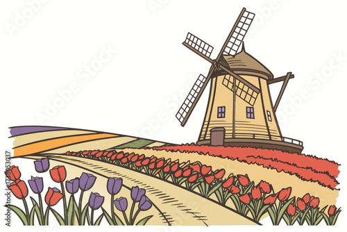 Traditional windmill in colorful tulip fields tulips