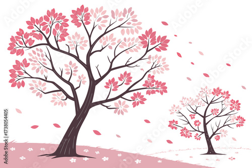 Two pink cherry blossom trees with falling petals vector