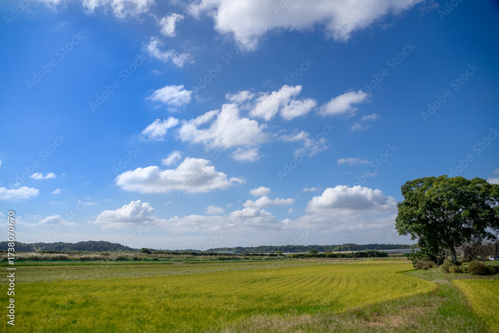 Naklejka premium 田園風景