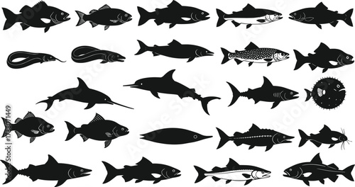 Aquatic animal silhouette collection, marine fish vector set, underwater species illustration, black and white, cad drawing flat vector illustration