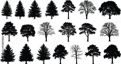 Silhouette collection of different trees including pine, oak, and deciduous types, isolated on white background, detailed forest tree shapes, natural vector illustration