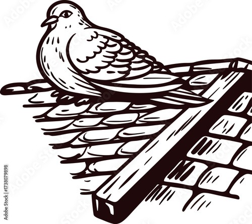 Detailed hand drawn illustration of a pigeon perched on a tiled roof with vintage engraved etching lines