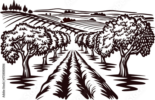 Hand drawn illustration of a rural orchard with tree rows and farmland landscape in vintage engraved