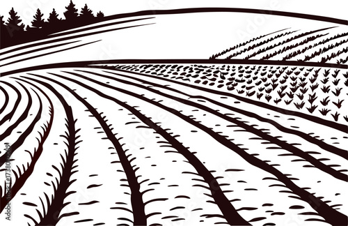plowed farmland with rolling hills and crops in vintage engraved illustration