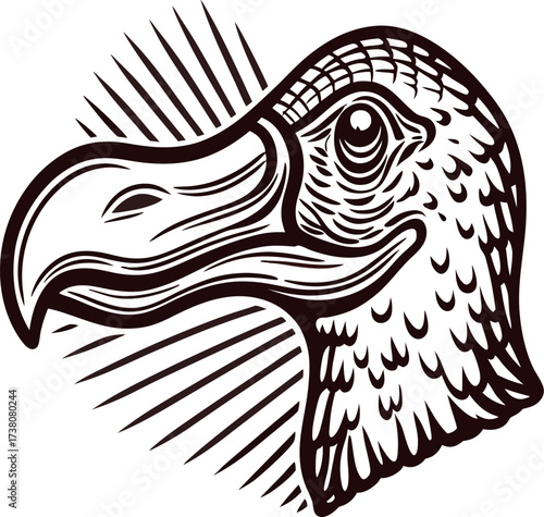 Detailed engraved illustration of dodo bird head in vintage with bold line art and decorative rays