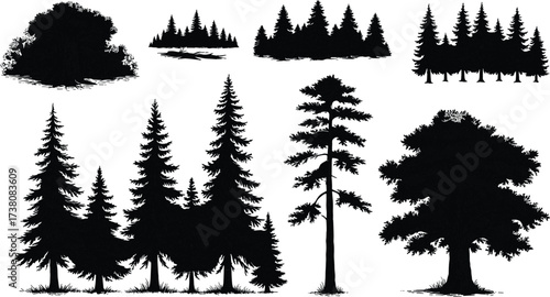 Silhouette illustration of different forest trees including pine, fir, spruce, and oak, detailed nature design for landscape, environment, botanical, outdoor, and eco projects