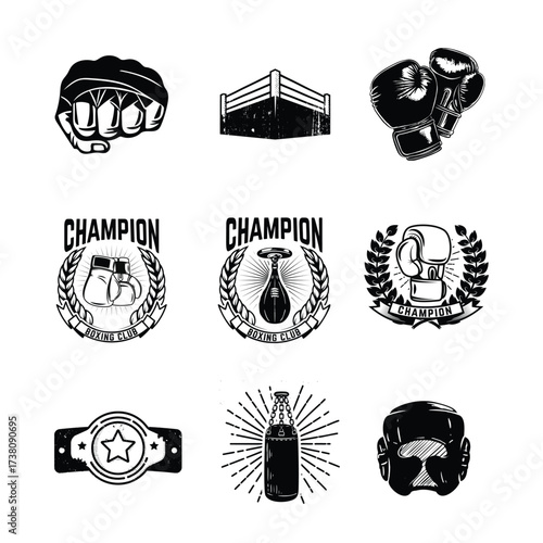 Boxing and MMA Equipment Collection.