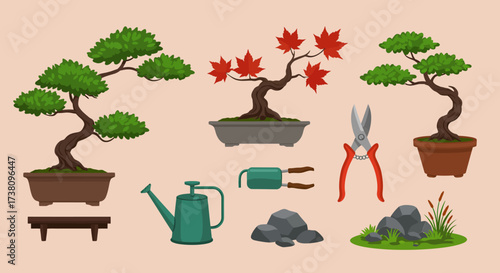 Collection of bonsai trees and gardening tools on a light background