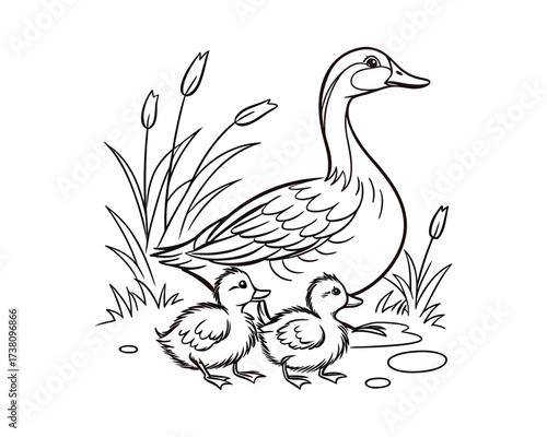 A charming black and white line drawing depicts a mother duck and two fluffy ducklings near a pond with tall reeds