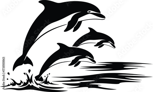 Silhouettes of a group of three playful dolphins jumping out of the water, splashing and creating ripples, a beautiful marine life vector illustration.