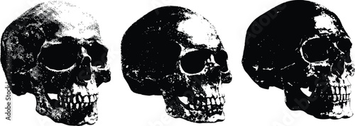 human skull with halftone stipple effect perfect for urban design vector illustration. Grunge isolate texture human skull set. Y2k vintage elements for design skull with wreath, barb wire, brain
