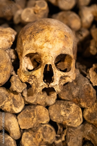 Close-up on human skull exhibited in ancient ossuary