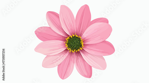 Nature Illustration, Pink Flower, Graphic Design, Digital Artwork, Flat Style, Vibrant Colors, Beauty Concept
