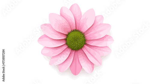 Nature, Pink Flower, Garden, Illustration, Bright, Close-Up, Simple Design