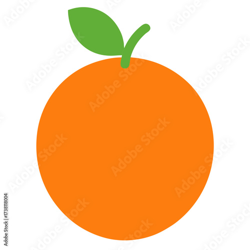 orange fruit vector illustration