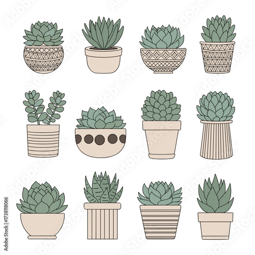 A collection of twelve charming potted succulents featuring diverse decorative planters.
