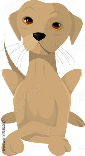 Cachorro vira-latas caramelo - mascote brasileiro