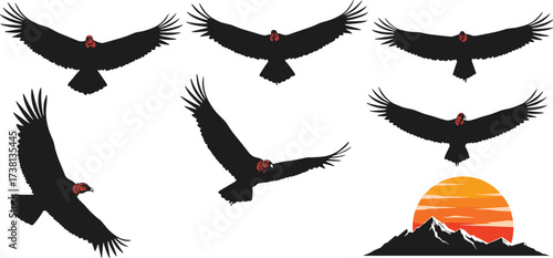 Flying vulture silhouettes with red heads, mountain landscape and sunset vector illustration, wildlife bird design for nature, sky, freedom, art