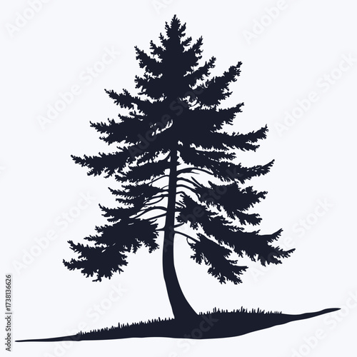 A majestic evergreen tree in striking black and white silhouette