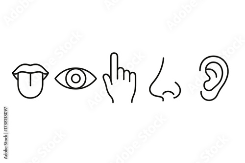 Five senses icon set with taste, sight, touch, smell, and hearing symbols. Line art illustration for sensory perception and human experience. Vector icons for biology and anatomy.