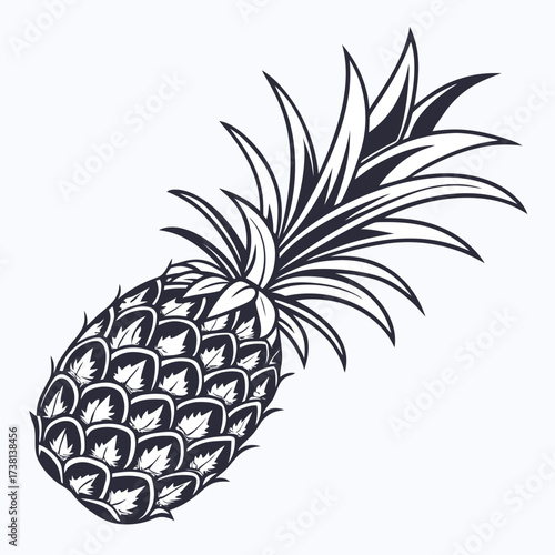 Detailed monochrome illustration of a fresh pineapple with textured leaves