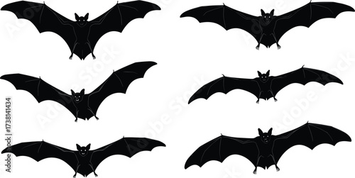 Set of flying bat silhouettes in various wing positions isolated on white background, perfect for Halloween, spooky, nocturnal animal themes