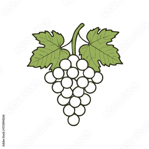 Stylized vector illustration depicting cluster of white grapes with leaves
