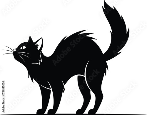 CAT, Flat vector illustration on a white background, An aggressive black cat with an arched back and tail. The silhouette is suitable for Halloween and prints.