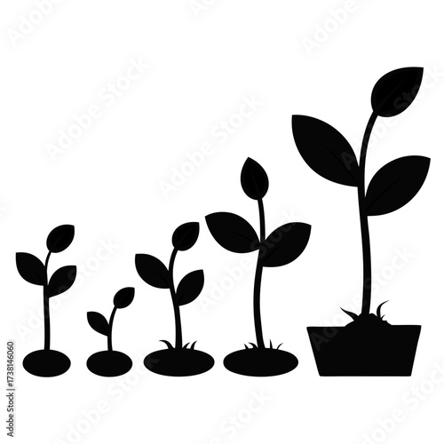 Silhouette growth stages of seed germination from sprout to leaves, educational black vector design on white background