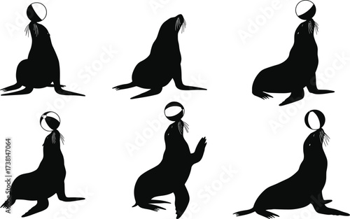 Set of sea lion silhouette vector illustrations balancing balls on noses, circus animal performance, marine wildlife art design collection