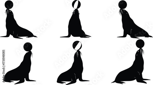 Set of sea lion silhouette vector illustrations balancing balls on noses, circus animal performance, marine wildlife art design collection