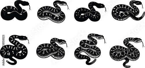Set of six coiled snake vector illustrations with unique patterns, detailed scales, reptile design elements, wildlife art for decoration