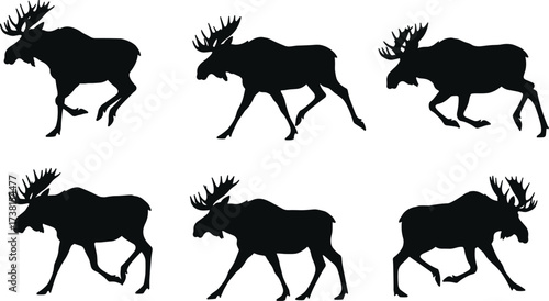 Set of six moose silhouettes in walking poses, wildlife animal vector illustration, antler profile design for nature, hunting, forest themes
