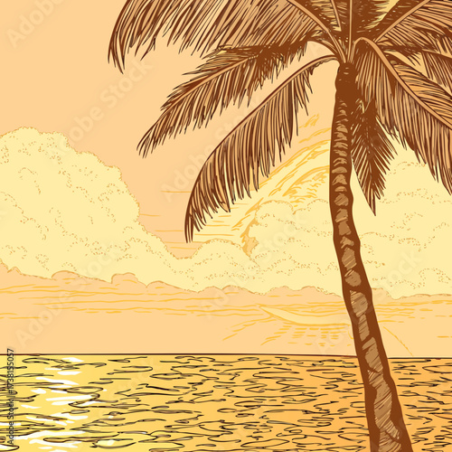 palm tree silhouette