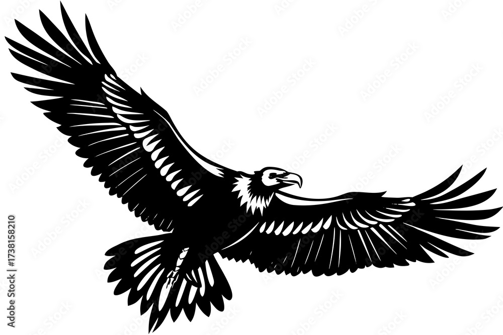 Obraz premium Eagle on white background