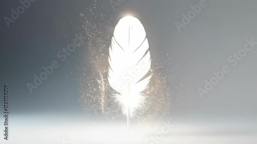 A Single White Feather Deconstructing into Particles