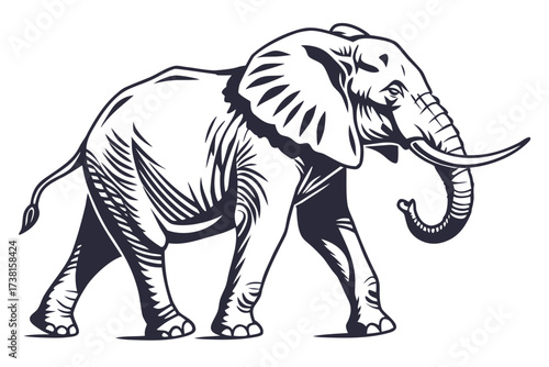 elephant largest mammal