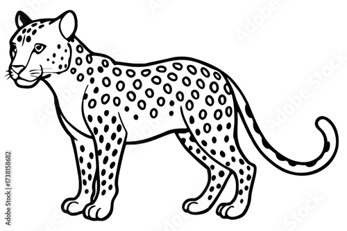 leopard vector illustration