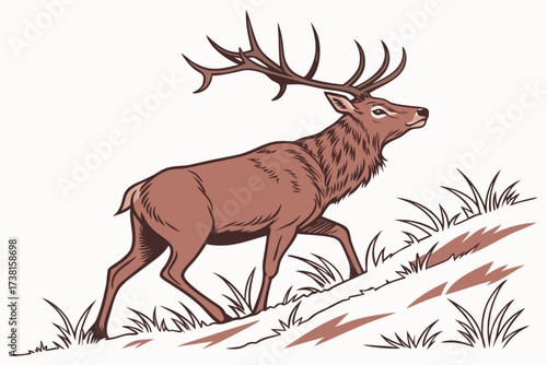 deer in the forest