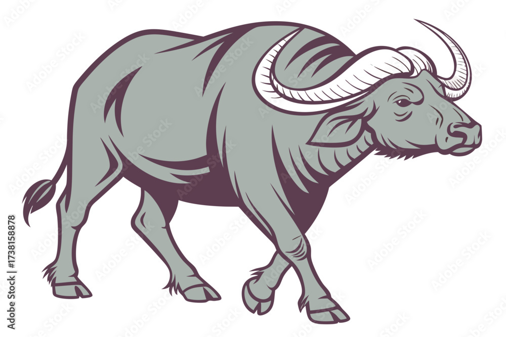 Fototapeta premium vector illustration of a buffalo